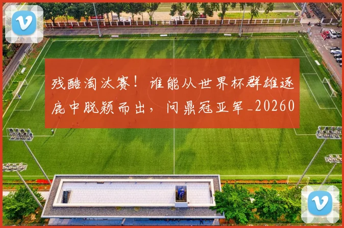 残酷淘汰赛！谁能从世界杯群雄逐鹿中脱颖而出，问鼎冠亚军_20260606145833