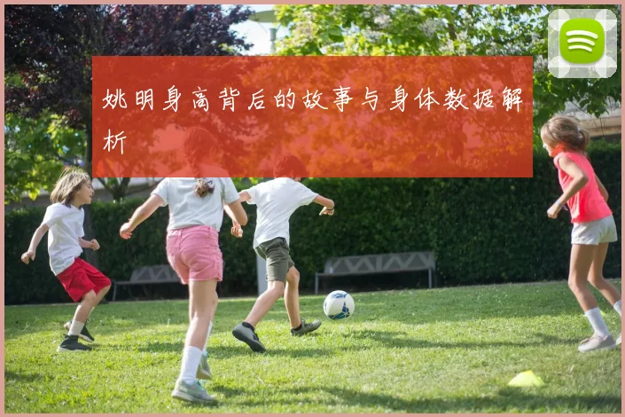 姚明身高背后的故事与身体数据解析