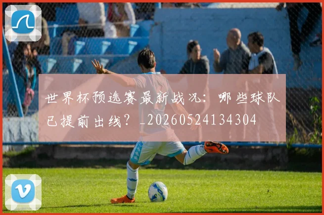 世界杯预选赛最新战况:哪些球队已提前出线?_20260524134304