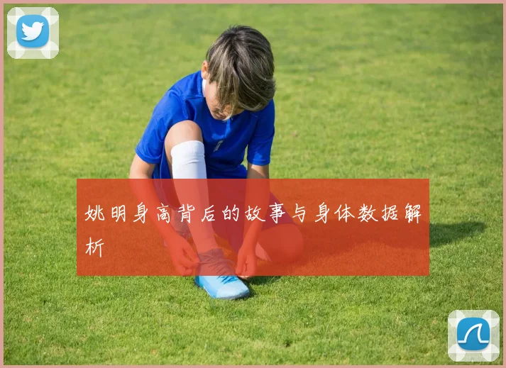 姚明身高背后的故事与身体数据解析